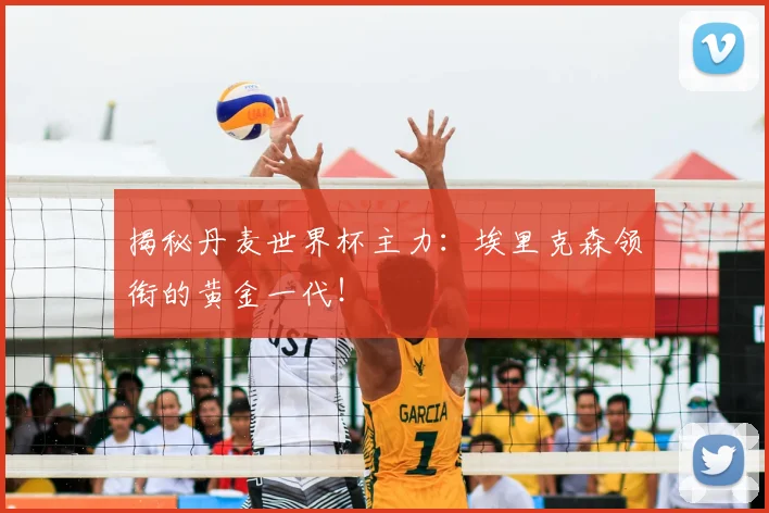 揭秘丹麦世界杯主力：埃里克森领衔的黄金一代！