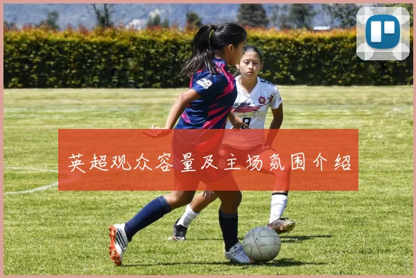 英超观众容量及主场氛围介绍