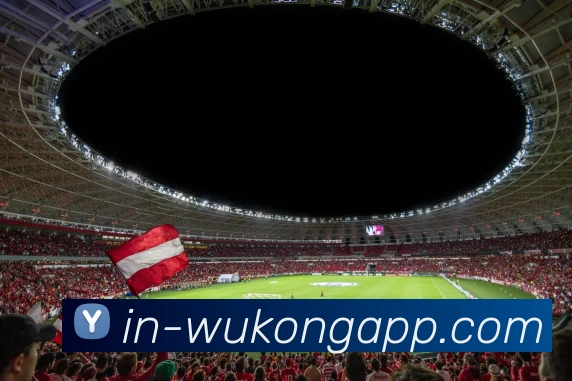 多媒体互动体验